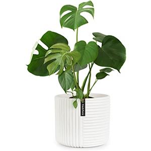 Fox & Fern Fox&Fern vaso da fiori M con struttura a linee - vaso grande da 24 cm con drenaggio dell'acqua - adatto per supporto da fiori Fox&Fern M (25 cm di diametro) - colore: bianco