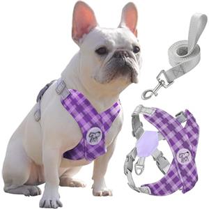 Pawaboo Imbracatura di Sicurezza per Cani, Pettorina e Guinzaglio con Gancio Metallico, Traspirante Senza Tirare, L, Viola Plaid