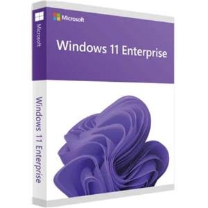 Microsoft Windows 11 Enterprise - Sistema operativo per aziende con licenza a vita e funzionalità avanzate