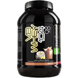 MOLDES Srl Net integratori vb whey 104 9.8 mokaccino 900g
