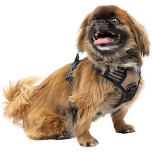 Ferplast Pettorina Cane Taglia Piccola, 2 Ganci per Massimo Controllo, Anti Tiro, Pettorina Cane Regolabile, Riflettente, Traspirante, Imbracatura Cani ideale per Addestramento S, Beige