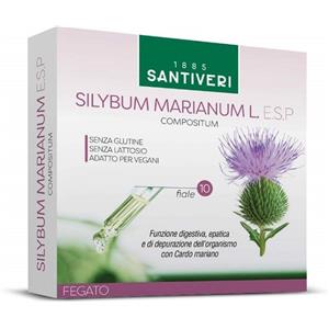 Silybum marianum l esp 10f - - 984829693