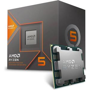 AMD Ryzen 5 8600G BOX