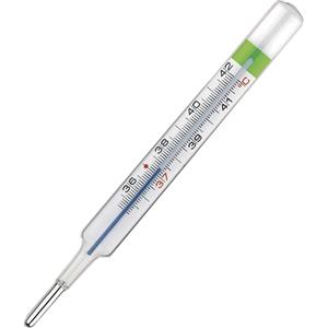 Colpharma Thermo Green Plus - Termometro Clinico Ecologico al Galinstan, Non Tossico e Antiurto