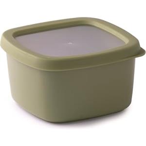 Snips, Aroma Box Contenitore Alimenti 1L Salva Freschezza, Impilabile, Microonde e Lavastoviglie, Box per Alimenti 15x15x8.5 cm, Verde, Made in Italy