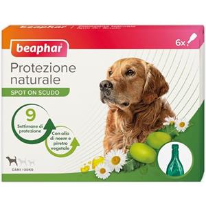Beaphar Protezione Naturale, Spot-On Scudo per Cane Grande, con Olio di Neem e Piretro Vegetale, 9 Settimane di Protezione, 6 Pipette da 2 ml