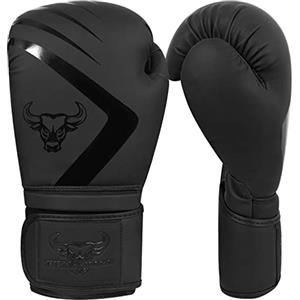 BEAST RAGE Guantoni da boxe Muay Thai, kickboxing, MMA, sacco da combattimento, allenamento, allenamento per uomini e donne, guanti da fitness imbottiti (Nero opaco, 14 oz)