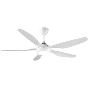 reiga Ventilatore da Soffitto Bianco con Luce e Telecomando, Ventilatore da Soffitto da 137cm con Motore CC, Ventilatore Silenzioso 5 Pale per Soggiorno e Cucina