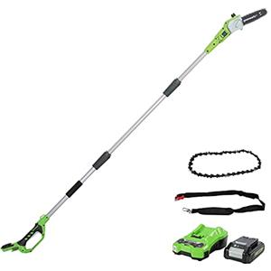 Greenworks Tools 2000107UA Potatore Telescopico con 2 Ah Batterie e Caricabatterie, 24 V, Verde, 20 cm (8") + Sega a Catena 20 cm (8"), 29507