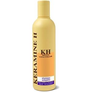 SOCO-SOCIETA' COSMETICI SpA KERAMINE H MVC SH ANTIGI 300ML