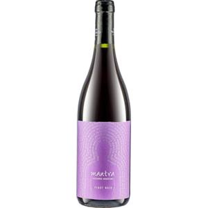 SECRETO PATAGONICO Bodega Secreto Patagonico, Mantra Rebel Pinot Noir 2023, 750 ml, Pinot Nero con Note Floreali e Fruttate, Vino Rosso con Sfumature di Frutti Rossi e Minerali, Ideale per Piatti di Carne, 13% Vol.