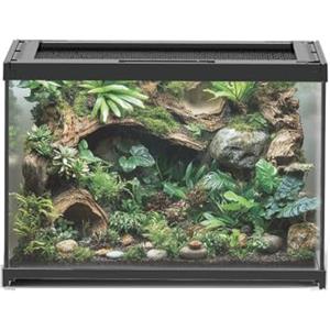 Aquariumline FPG-3A Terrario in Vetro Extrachiaro 30x20x20 cm - Teca Compatta per Rettili, Anfibi e Insetti, Ideale per Habitat Naturali, Design Trasparente e Robusto