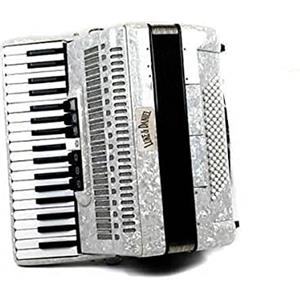 Luke & Daniel - fisarmonica con valigia e tracolla (96 BASSI / 7 REGISTRI (ACUTI) + 2 REGISTRI (BASSI), BIANCO)