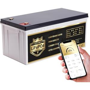 PUPVWMHB Batteria LiFePO4 da 12 V, 200 Ah, con, batteria al litio da 2560 Wh, BMS, 8000 cicli, ideale per camper, trailer, barca e campeggio