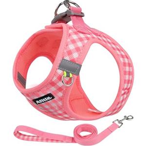 AIITLE Pettorina e guinzaglio per cani anti-tiro, imbracature per cani in morbida rete riflettente per cuccioli e gatti di piccola taglia, imbracatura a quadri per animali domestici, anguria XXS