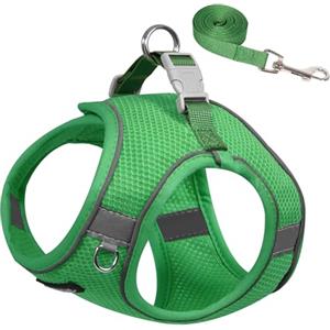 AIITLE Pettorina e guinzaglio per cani, imbracatura per cuccioli anti-tiro con rete super traspirante, riflettente per passeggiate all'aperto per cani di piccola taglia, gatti Verde XS