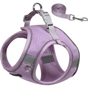 AIITLE Pettorina e guinzaglio per cani, imbracatura per cuccioli anti-tiro con rete super traspirante, riflettente per passeggiate all'aperto per cani di piccola taglia, gatti Viola XS