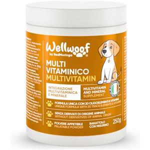 Wellwoof Integratore Multivitaminico Completo 11 in 1 | Integratore per Cani in Polvere (250g) | 20 Vitamine e Minerali e Moringa BIO | Senza Appetizzanti Animali | Dieta Casalinga | Made in Italy - WELLWOOF
