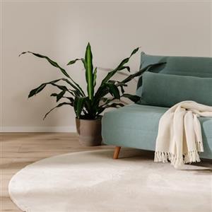 benuta Basic Tappeto salotto Furry - Beige Rotondo 80 cm - Soffice salotto - Retro antiscivolo - Lavabile - Compatibile con riscaldamento pavimento