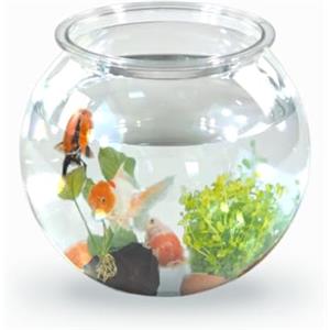 Mobiclinic® pets, Boccia per pesci, Rotondo, Nemo, 4 litri, Plastica pet eco, Design trasparente, 20x20x17, 5cm, Facile pulizia, Resistente, Ideale la decorazione domestica, Erbe acquatiche