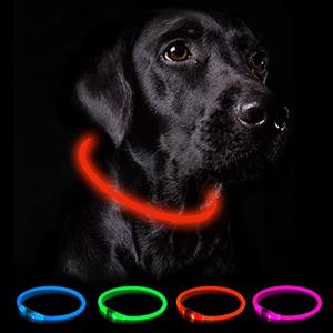 Nepfaivy Collare Luminoso per Cani - Collare per Cani a LED Ricaricabile per Portare a Spasso di Notte, Collare per Cani Impermeabile e Regolabile con 3 Modalità di Lampeggio, Rosso