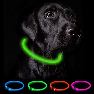 Nepfaivy Collare Luminoso per Cani - Collare per Cani a LED Ricaricabile per Portare a Spasso di Notte, Collare per Cani Impermeabile e Regolabile con 3 Modalità di Lampeggio, Verde