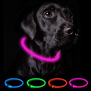 Nepfaivy Collare Luminoso per Cani - Collare per Cani a LED Ricaricabile per Portare a Spasso di Notte, Collare per Cani Impermeabile e Regolabile con 3 Modalità di Lampeggio, Blu