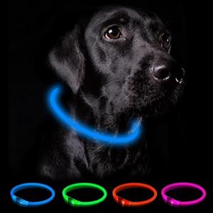 Nepfaivy Collare Luminoso per Cani - Collare per Cani a LED Ricaricabile per Portare a Spasso di Notte, Collare per Cani Impermeabile e Regolabile con 3 Modalità di Lampeggio, Blu