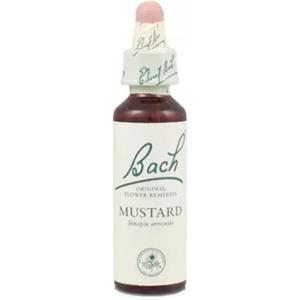 Schwabe Pharma - Fiori Di Bach Originali Mustard Gocce Orali Omeopatiche Confezione 20 Ml