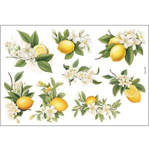 LOVIVER Adesivi forma di limone, carta da parati autoadesiva, adesivi murali per cameretta dei bambini, decorazioni per la casa,