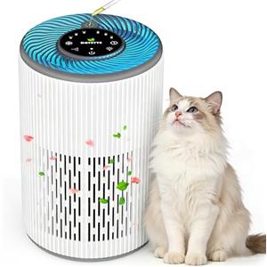 DAYETTE Purificatore d'aria portatile per chi soffre di allergie con spugna profumata e luce notturna blu, timer, modalità di riposo (20 dB), filtro aria HEPA contro muffa, polvere, polline, odori