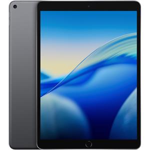 Apple iPad 10.2 pollici (2021) 9a Generazione, Grigio Siderale - 64GB - Wi-Fi + Cellular - Ottimo