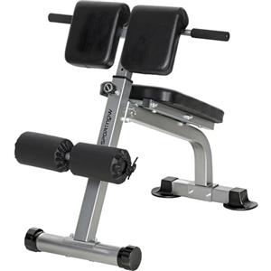 SPORTNOW Panca Romana Multifunzione, Sedia Romana Pieghevole con Inclinazione Altezza Regolabile per Iperestensioni Schiena, Panca Addominali Pesi Fitness per Allenamento Palestra Casa, Capacità 150kg