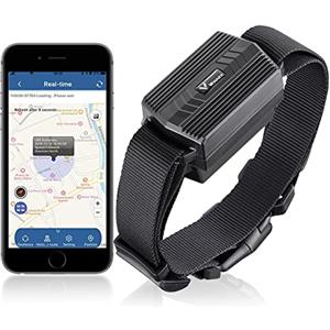 TKMARS Collare GPS per Cani，Senza Abbonamento 3000mAh IP66 Collare per Animali da Fattoria Impermeabile con App Gratuita per Cani Bovini Pecore Animali di Grossa Taglia TK935