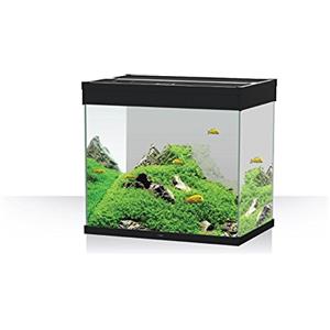 Askoll 280281 Emotion PRO LED 60 con Filtro Esterno Pratiko 100, S, Nero