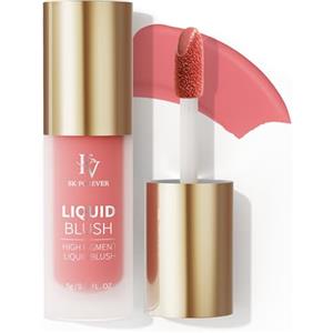 FV Blush Liquido Altamente Pigmentato, Fard Make Up con Finitura Naturale, Lunga Durata, Idratante e Leggero, Dewy Texture, Fard Liquido Idratante per Il Viso (Cheer, 5g)
