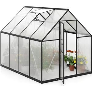 RELAX4LIFE Serra da Giardino, Serra Esterna in PC con Telaio in Lega di Alluminio, Finestra Regolabile, Porta con Serratura, Riparo Invernale per Patio, Balcone, Cortile, 250 x 190 x 195 CM