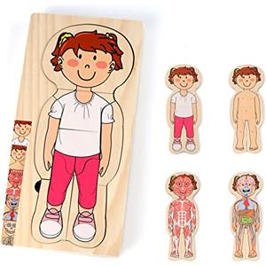 KABENFIS 29 Pezzi Gioco di Anatomia per Ragazze Puzzle in Legno per Ragazzi e Ragazze