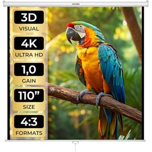 tectake® Schermo Proiettore 203x203cm, Avvolgibile, Diagonale 110", Gain Factor1.0, Formati 1:1, 4:3, 16:9, Schermo a Parete, Soffitto, Cinema a Casa, Home Cinema, Ufficio, Ottimizzato per HDTV e 3D