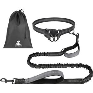 OFFCUP Guinzaglio Cani Mani Libere, Guinzaglio Da Jogging, Prolunga Elastica Con Borsa Portaoggetti per Addestramento, Camminata, Jogging E Corsa Con Cani (Grigio, Per 1 Cane)