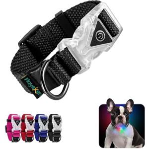 Playexen Collare Luminoso per Cani Collare Cane Regolabili in Morbido Cotone per Cani & Gatto Taglia Piccola Media Grande Collare di Cane LED 2 Modos de Flash Collari per Cane 20-30/2,0cm (XS), Nero