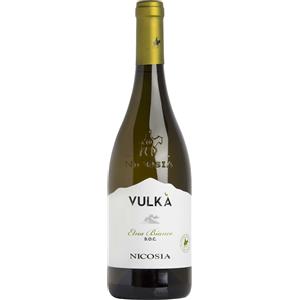 Nicosia Etna Bianco Vulkà DOC 2024 - Vino Bianco Fresco e Aromatico
