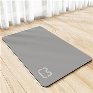 Xisnuient Tappetino Assorbente Sottociotola Per Cani Gatti Tovaglietta Per Ciotola In Diatomea Per Cibo Tappetini Lavabile Antiscivolo Riutilizzabile Gatti Cani Conigli Mat Carpet (30x50 cm,Grigio Chiaro)