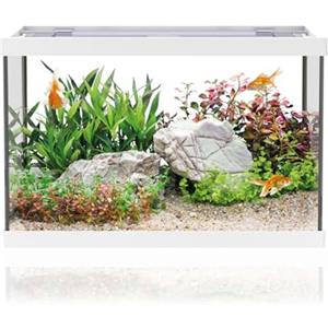 AQPET One Mini Acquario in vetro Bianco 20 litri - acquario completo con filtro interno, sabbia, pianta decorativa e sfondo - design elegante 36x22x26 cm, ideale per principianti