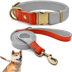Qianruida Set Collare e Guinzaglio Cane in Nylon di Addestramento, Regolabile, Resistente, Antifuga, Collari per Cani di Piccola, Media e Grande Taglia, Grigio Argentato, L