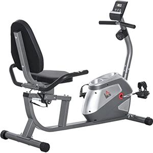 HOMCOM Cyclette da Casa con 8 Livelli di Resistenza, Cyclette Orizzontale Recumbent con Ruote, Monitor LCD e Seduta Regolabile, in Acciaio e ABS, per Home Gym Casa, 122-137x62x103cm, Grigio
