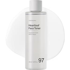 TOSOWOONG Tonico Viso alla Houttuynia Cordata con 970.200 ppm di Acqua di Heartleaf, Centella, Acido Ialuronico, Hamamelis, Idratante e Lenitivo, Skincare Coreana, 250ml