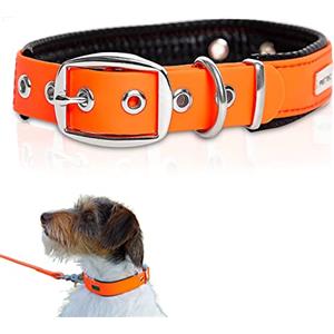 PetTec® Trioflex - Collare per Cani - Adatto per Taglie Piccole, Medie e Grandi - Collare Cane Confortevole e Resistente - Ideale per Pitbull, Bulldog Francese, Retriever - Collari per Cuccioli e Cani