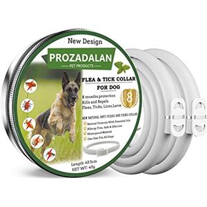 PROZADALAN Collare Antipulci e Zecche per Tutti i Tipi di Cani, Regolabile Impermeabile, Antiparassitario, 8 Mesi di Efficacia Protezione, 63cm Taglia Unica (2pack)