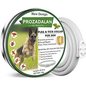 PROZADALAN Collare Antipulci e Zecche Regolabile Impermeabile, Antiparassitario per Tutti i Tipi di Cani, 8 Mesi di Efficacia Protezione, 63cm Taglia Unica (1pack)